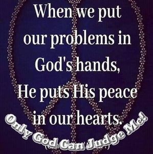 Meet your Posher, Lorenzo